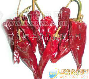 益都红辣椒