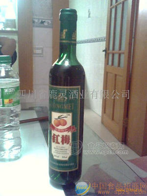 紅梅酒500ml