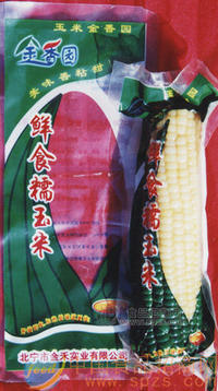 鲜熟糯玉米穗