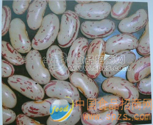 斑點蕓豆