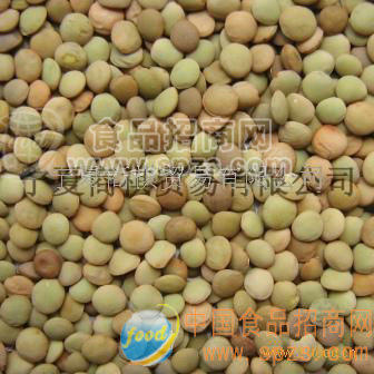 供應(yīng)07西北產(chǎn)小扁豆 lentil