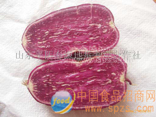 供应出口紫薯