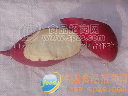 供应出口保鲜徐薯18地瓜