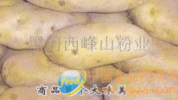 马铃薯商品薯