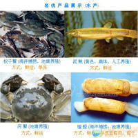 梭子蟹、河蟹(大閘蟹)