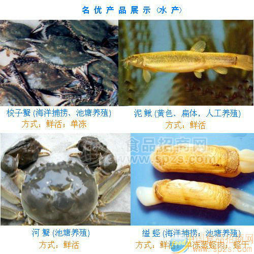 梭子蟹、河蟹(大閘蟹)
