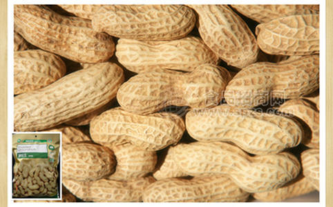 东宝有机原味烤花生果