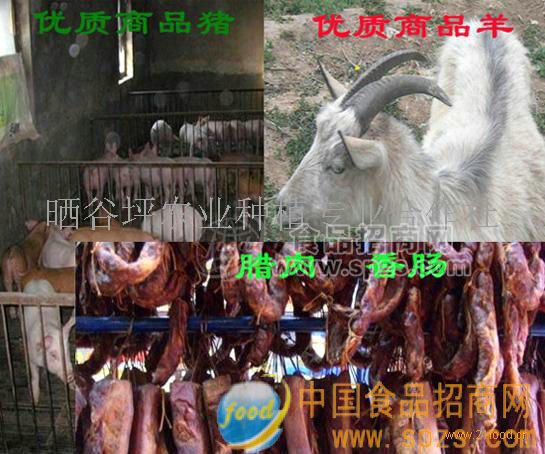 大量供應(yīng)臘肉