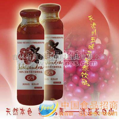 五味子營(yíng)養(yǎng)飲品