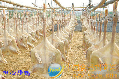 大量腊鸭