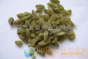新疆吐鲁番各种葡萄干