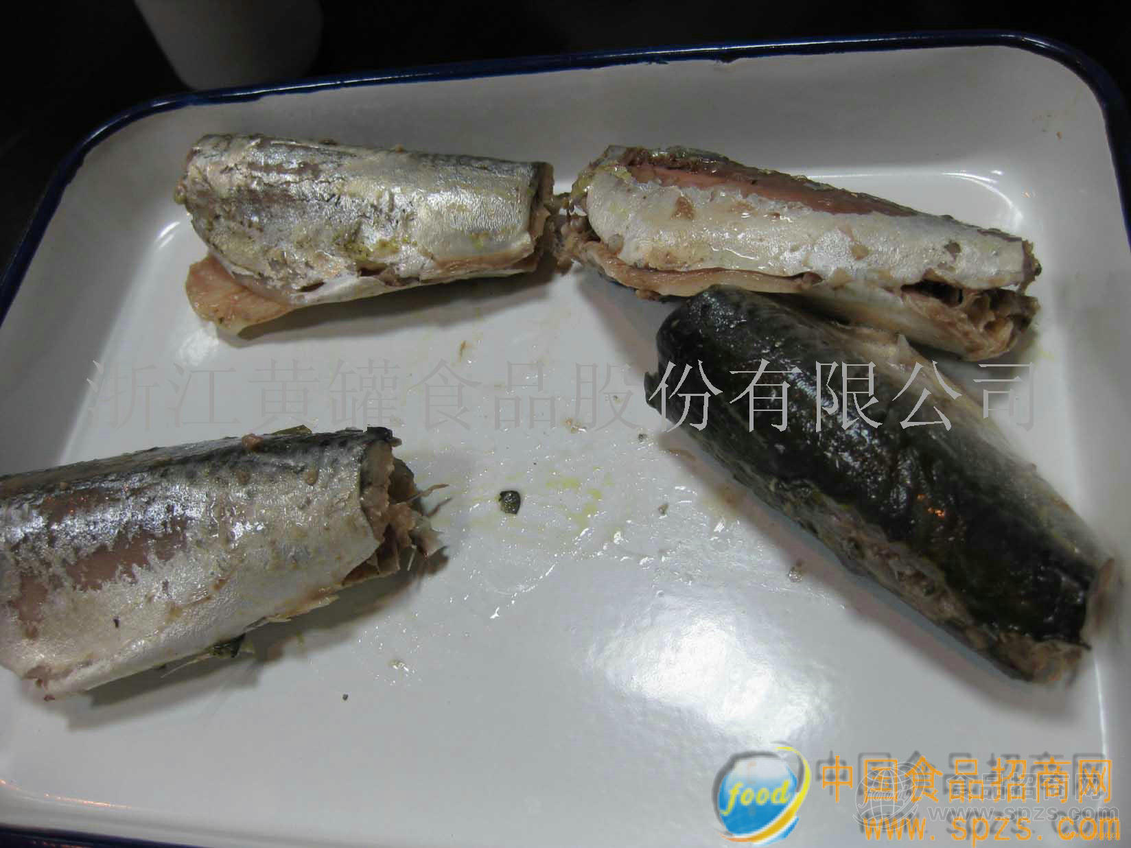 供应盐水鲭鱼