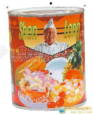 神龙品牌代理
