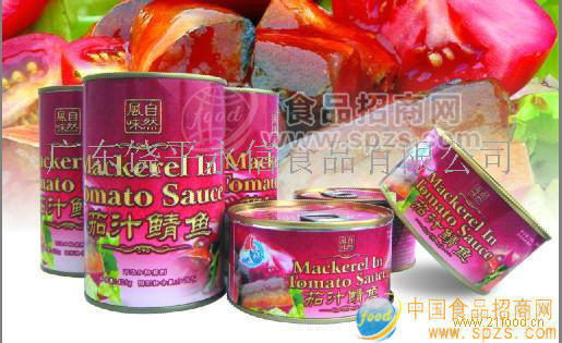 機帆船茄汁鯖魚罐頭全國招商
