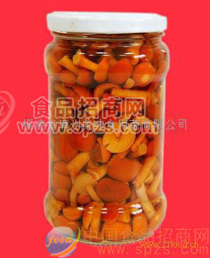 供应滑仔蘑菇