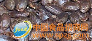 供應(yīng)吊瓜子  原味