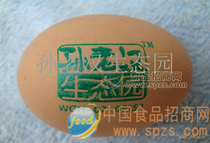 孫老漢生態(tài)園散養(yǎng)草雞蛋