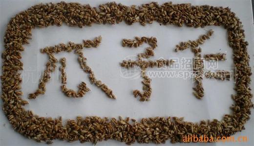 炭燒瓜子仁