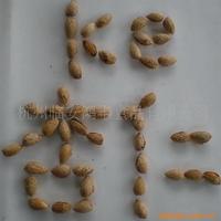 生NP型壳杏仁500g/包