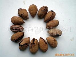 09年奶油碧根果(大歪头中尖)