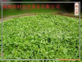 茶叶 绿杨春茶叶 正宗仪征谢集捺山原产地特产 时会堂绿茶