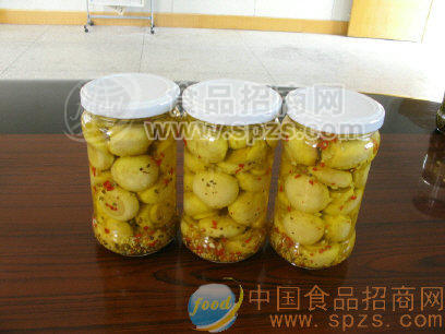 供应调味菇