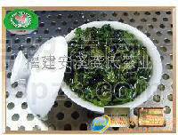 为您大量提供安溪铁观音茶叶