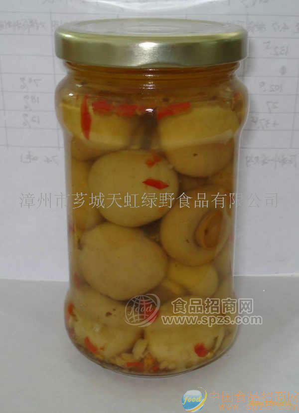 供应调味蘑菇罐头