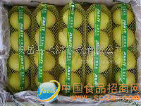 綠檸苑檸檬