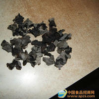 單片黑木耳