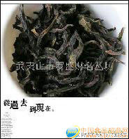 武夷岩茶（水仙)