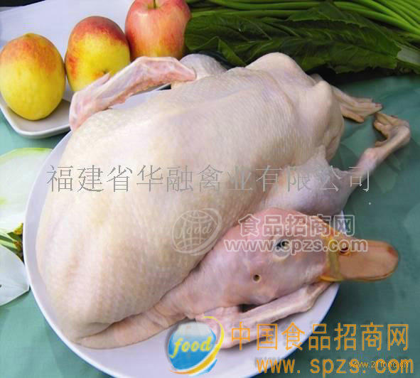 冰冻鸭肉