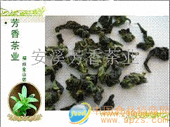 新上市秋茶