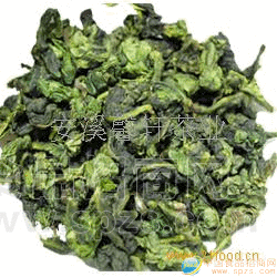 早秋铁观音 毛茶特价