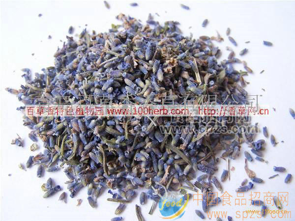 香草调味料——薰衣草