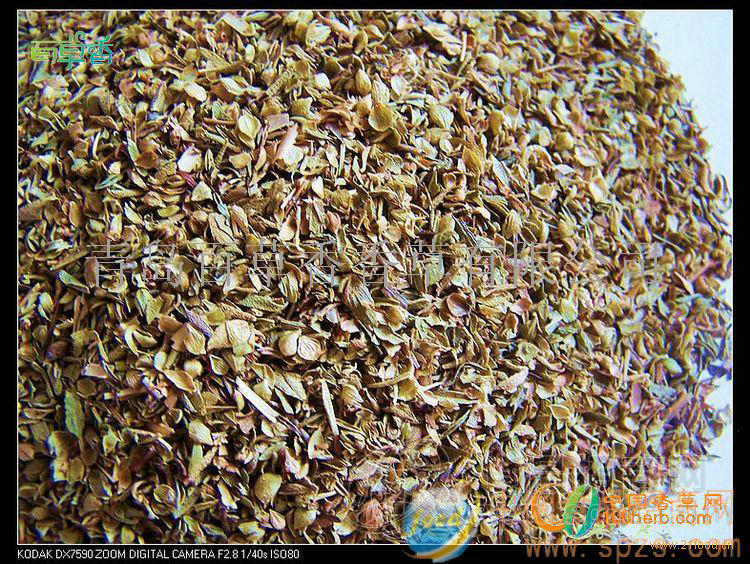 香草调味料——牛至碎