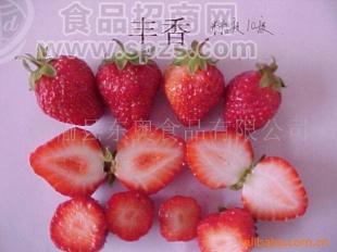 豐香草莓