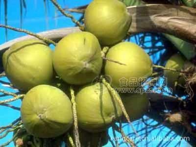 锯叶棕提取物 锯棕榈提取物 脂肪酸25% 45%