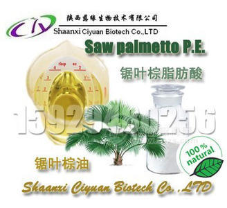 -【锯叶棕榈油】 锯叶棕提取物招商
