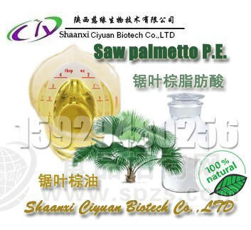 -【锯叶棕榈油】 锯叶棕提取物招商