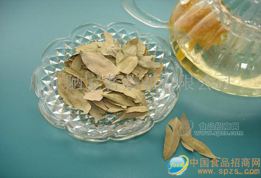 罗布麻茶花草茶