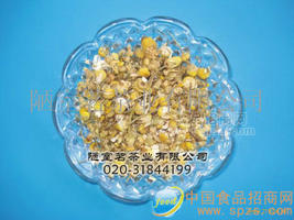 进口洋甘菊