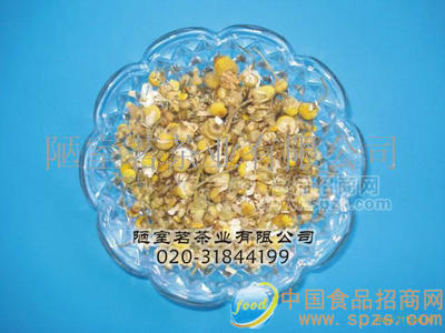 进口洋甘菊