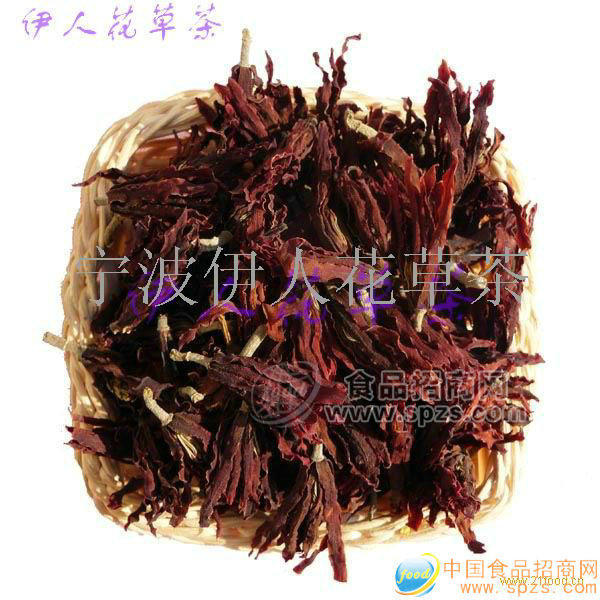 玉兰花