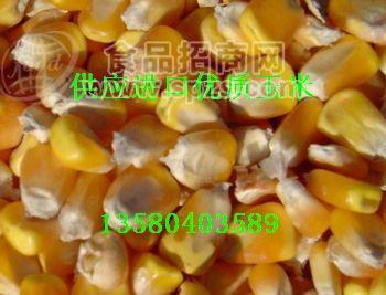 供應(yīng)小麥，玉米，稻谷，麥類，高粱