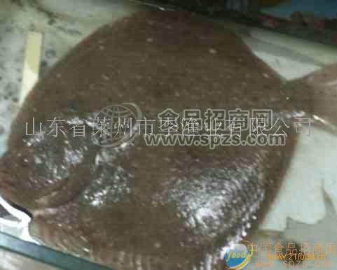 多寶魚