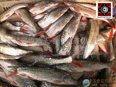 梁子湖風(fēng)干紅尾魚(yú)