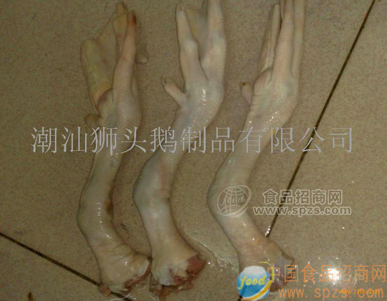供应鹅短掌