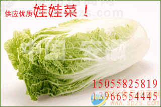 优质高山娃娃菜