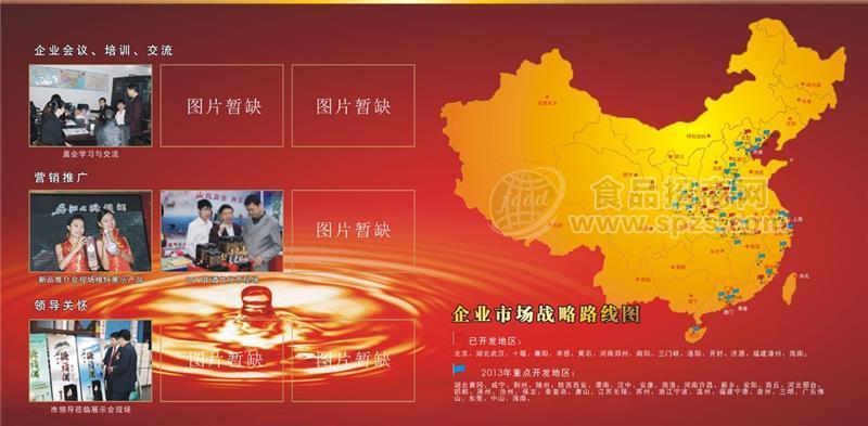 ·企业市场战略路线图 
